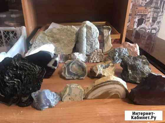 Коллекция минералов. Окаменелости Мурманск