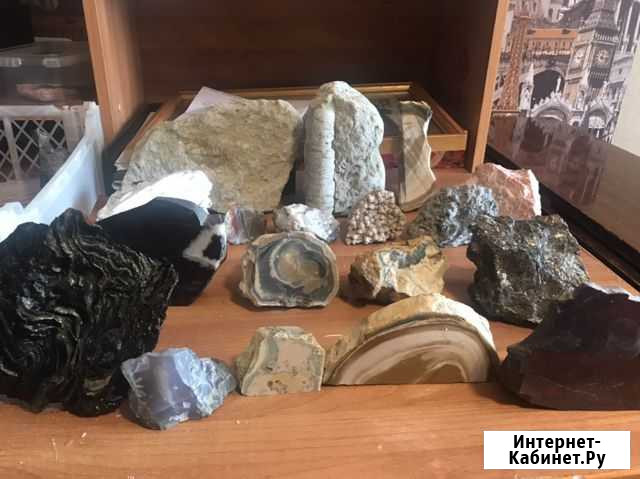 Коллекция минералов. Окаменелости Мурманск - изображение 1