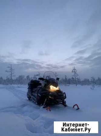 Lynx Commander Ноябрьск - изображение 1