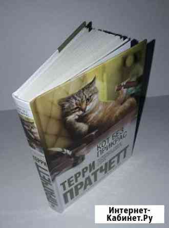 Книга Кот без прикрас Терри Пратчетт Владимир