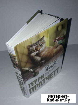 Книга Кот без прикрас Терри Пратчетт Владимир - изображение 1