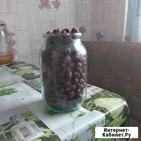 Шиповник сухой, мед Алтайский Сыктывкар - изображение 1