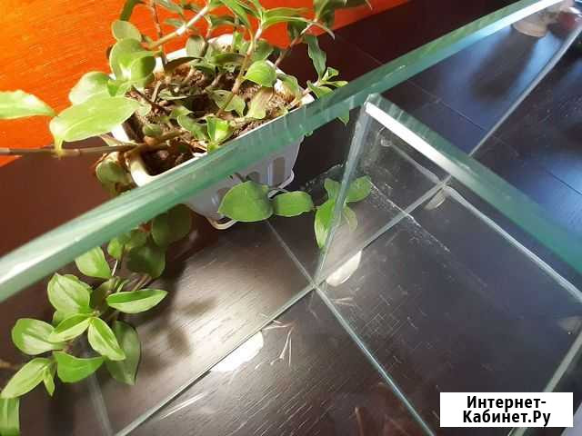 Аквариум Москва - изображение 1