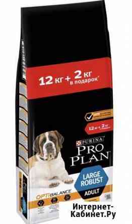 Сухие корма Pro Plan для собак 12-14кг Нижний Новгород