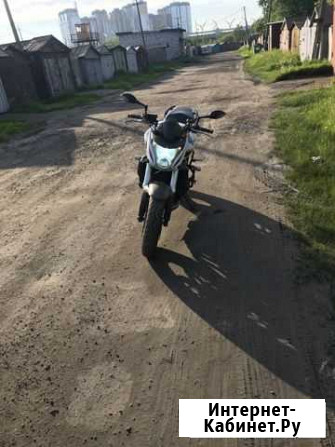Honda CB600 2009г Санкт-Петербург - изображение 1