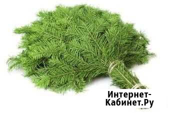 Веники для бани пихта Чистополь - изображение 1