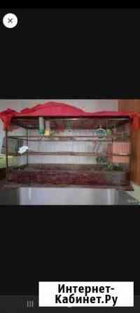 Клетка для птиц Саратов