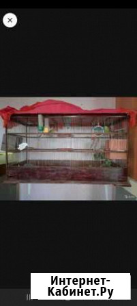Клетка для птиц Саратов - изображение 1