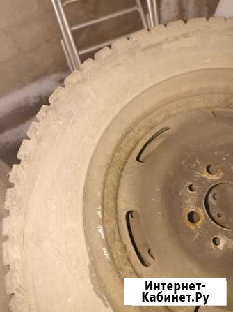 Nokian Колеса 175/70r13 Киров - изображение 1