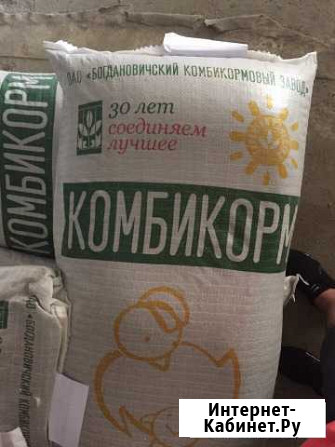 Комбикорм Бройлер пк-6 Богданович Горный Щит - изображение 1