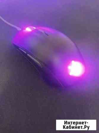 Steelseries rival 110 Геленджик