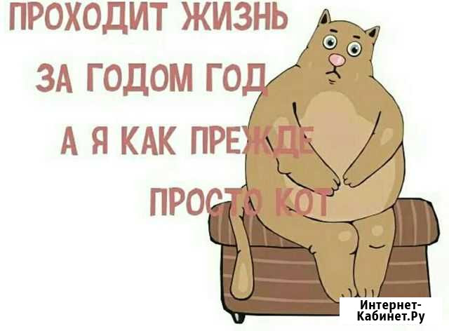 Просто кот Благовещенск - изображение 1