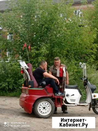 Муравей Подольск - изображение 1