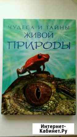 Книга. Энциклопедия про животных для детей Березники