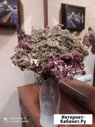 Букеты из сухоцветов Воронеж