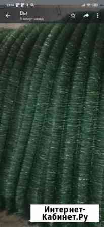 Ерш,хвоя Чебоксары