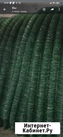 Ерш,хвоя Чебоксары - изображение 1