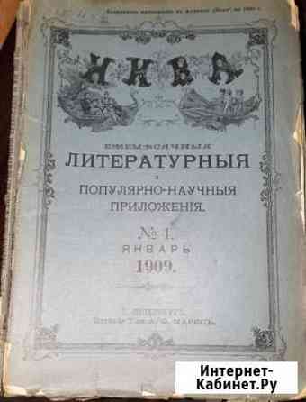 Журнал нива 1895 год Пушкино