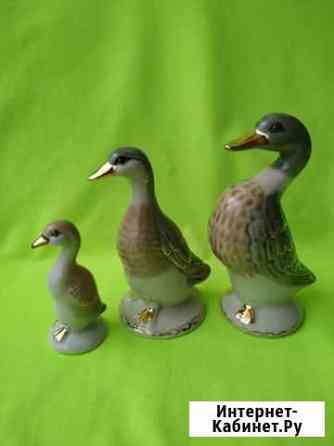 Уточки семейка Краснодар