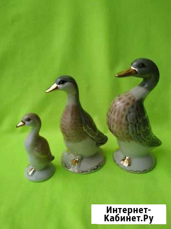 Уточки семейка Краснодар - изображение 1