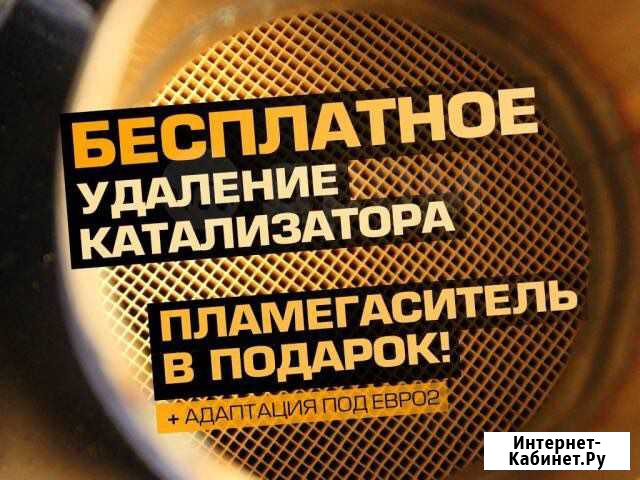 Бесплатная прошивка Евро2 и удаление катализатора Рязань - изображение 1