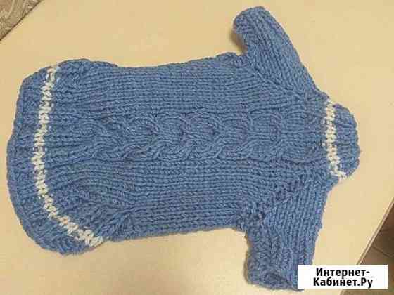 Одежда для собак Москва