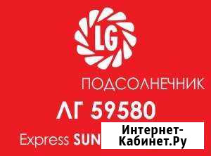 Лимагрей 59580 подсолнечник под экспресс Ставрополь - изображение 1