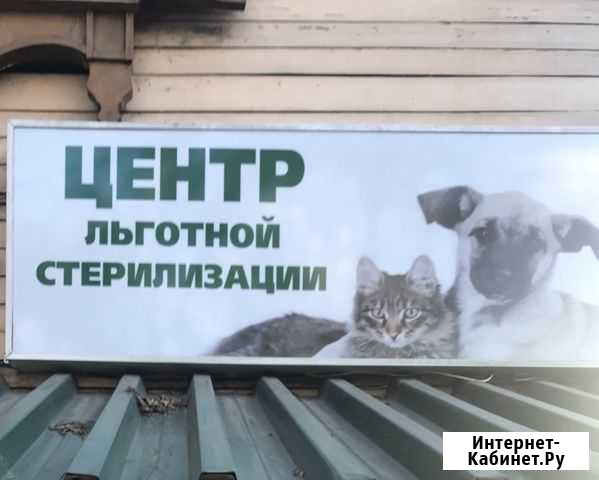 Льготная стерилизация Иркутск - изображение 1