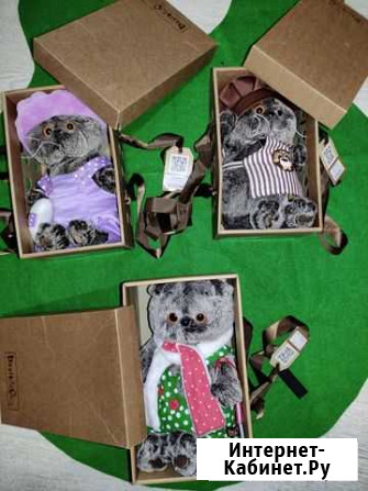 Коты Басики Курск - изображение 1