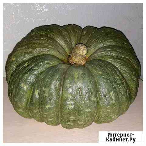 Тыква от производителя Волгоград