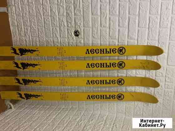 Лыжи лесные Мурманск