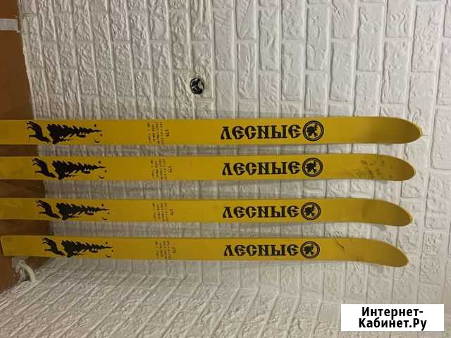 Лыжи лесные Мурманск - изображение 1
