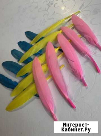 Перья Кемерово - изображение 1