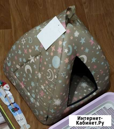 Для котят, кошек и котов Дзержинск - изображение 1
