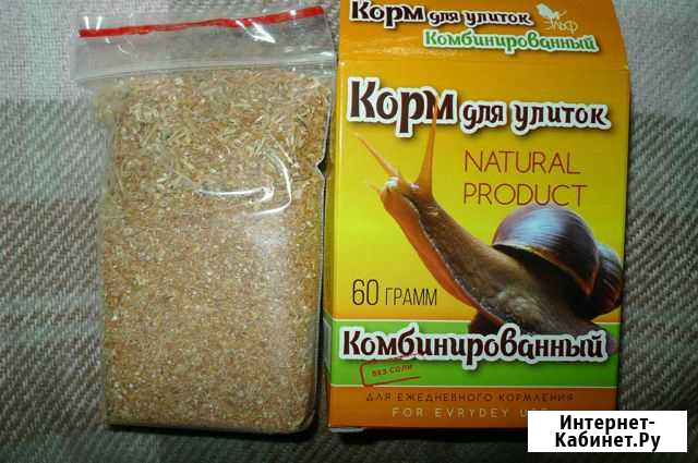 Для улитки Мурманск - изображение 1