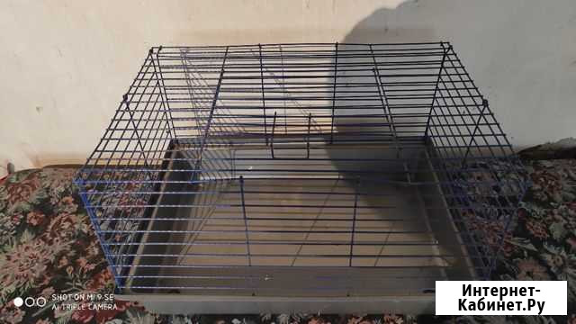 Клетка для птиц и для животных Липецк - изображение 1