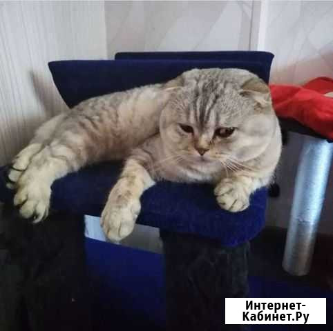 Вязка Шахты - изображение 1