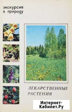 Открытки СССР Лекарственные травы 1980 год Новокузнецк - изображение 1