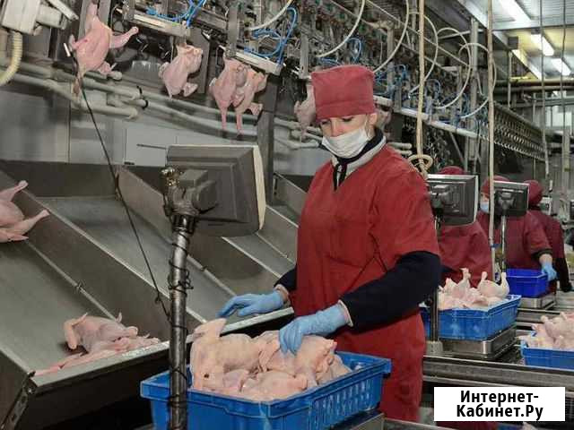 Упаковщица(к) вахта с проживанием в Ростовской обл Гуково - изображение 1