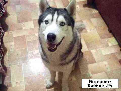 Ищем невесту Самара