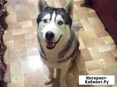 Ищем невесту Самара - изображение 1