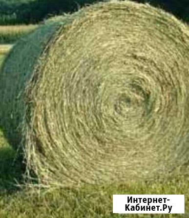 Сено и салома Пестрецы - изображение 1