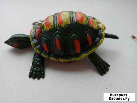 Черепаха Ярославль