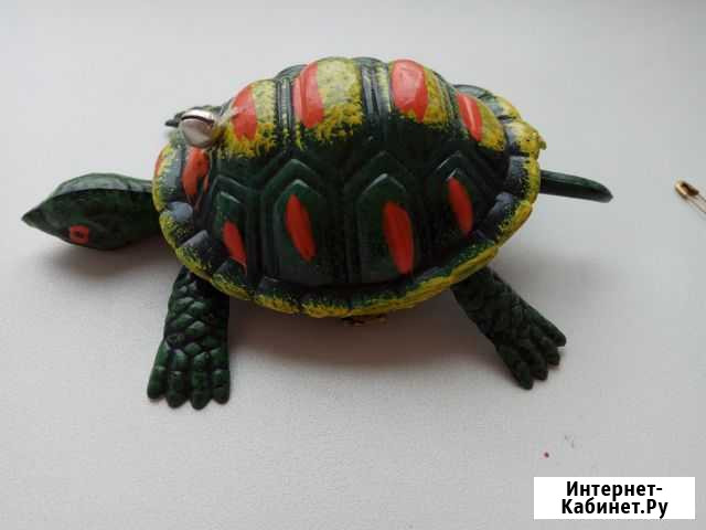 Черепаха Ярославль - изображение 1