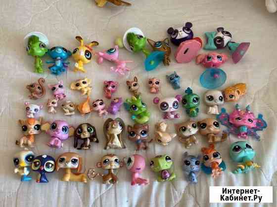 Littlest Pet Shop Чебоксары