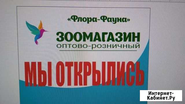 Декоративные животные и птицы оптом и в розницу Краснодар - изображение 1