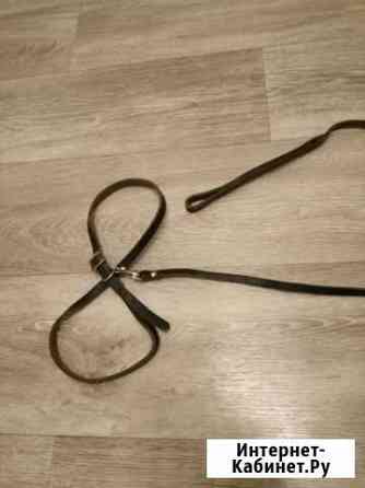 Поводок для кошек и собак кожаный Тольятти