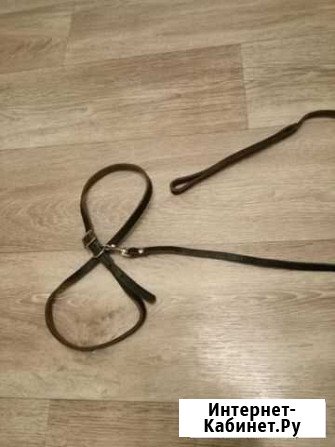 Поводок для кошек и собак кожаный Тольятти - изображение 1