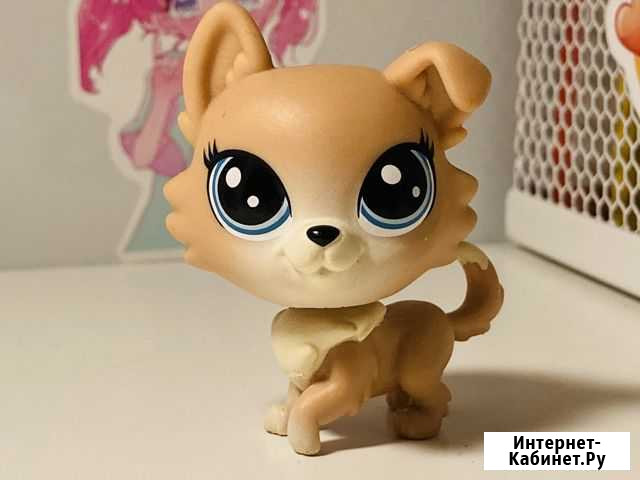 Lps собачка Мытищи - изображение 1