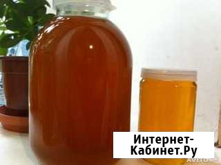 Продаю домашний мед с собственной пасеки Калуга - изображение 1